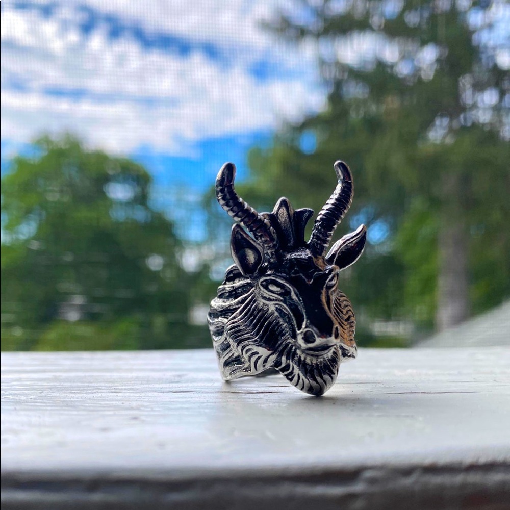 Animal Ring